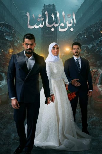 مشاهدة مسلسل ابن الباشا الحلقة 28